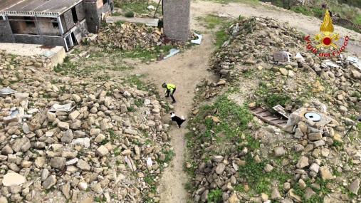 Esercitazione cinofili