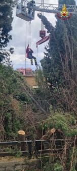 taglio albero annunziata
