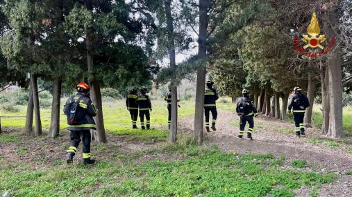 Ricerca a Pettine Addestramento