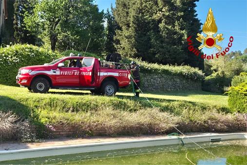 Operazioni di spegnimento incendio boschivo 1