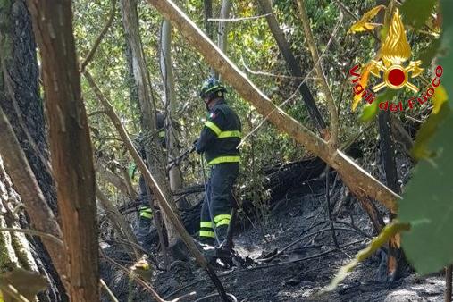 Operazioni di spegnimento incendio boschivo 2