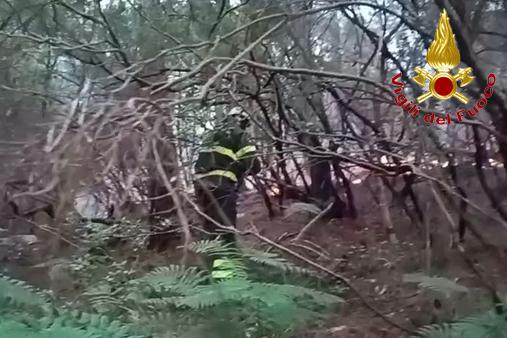 Operazioni di spegnimento incendio boschivo 3