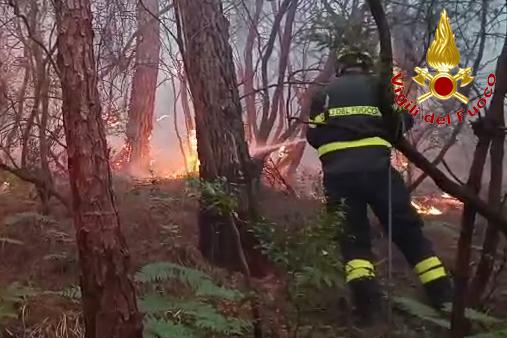 Operazioni di spegnimento incendio boschivo 4