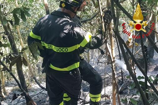 Operazioni di spegnimento incendio boschivo 6