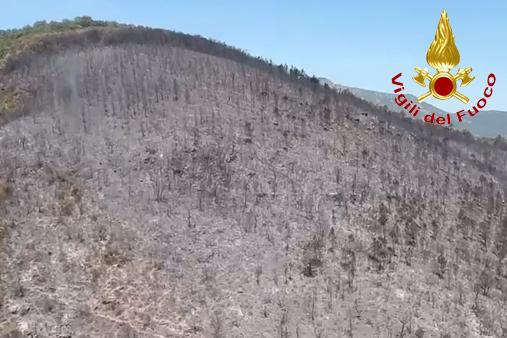 Operazioni di spegnimento incendio boschivo 11