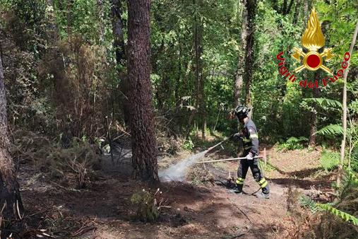 Operazioni di spegnimento incendio boschivo 14