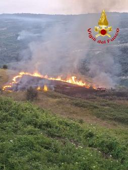 incendio vegetazione