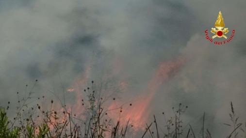 incendio vegetazione
