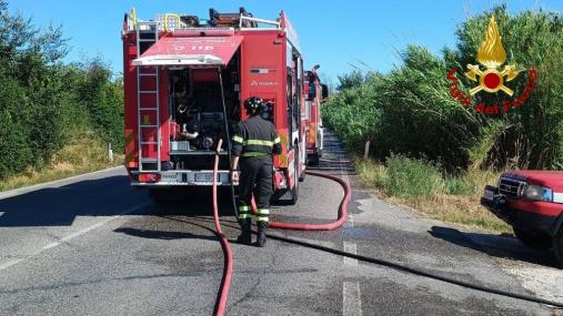 incendio vegetazione