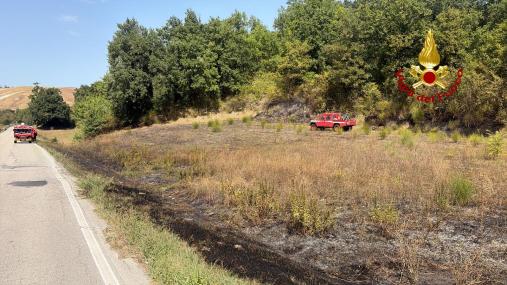 incendio vegetazione