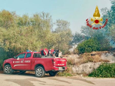 Emergenza incendi boschivi e di vegetazione