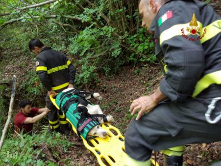 Una fase del salvataggio