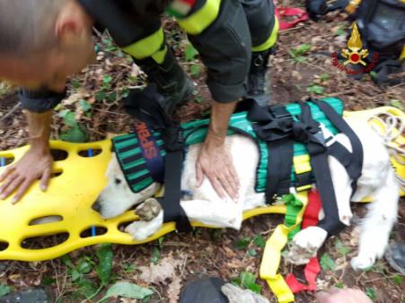 Una fase del salvataggio