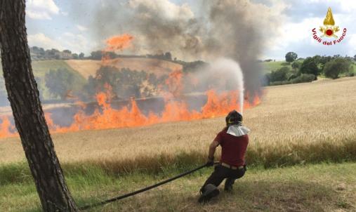 Ancona, bruciano un mezzo agricolo e 5 ettari di grano a Mopntale di Arcevia