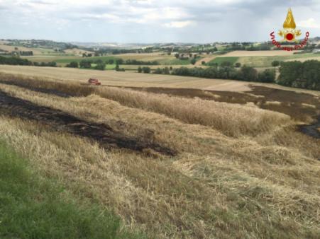 Ancona, bruciano un mezzo agricolo e 5 ettari di grano a Mopntale di Arcevia