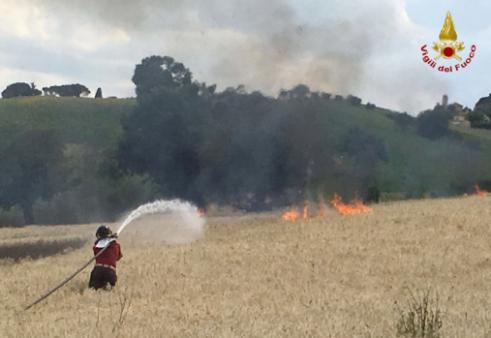 Ancona, bruciano un mezzo agricolo e 5 ettari di grano a Mopntale di Arcevia