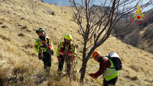 Cuneo, salvati vitellino e mucca caduti in un dirupo