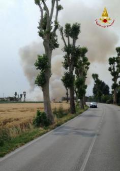 Padova, bruciato un campo di grano