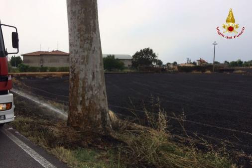 Padova, bruciato un campo di grano