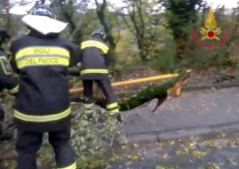 Trieste, interventi dei Vigili del fuoco per avverse condizioni meteo