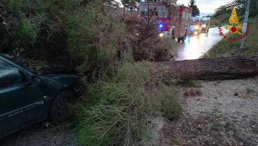 Ascoli Piceno, auto finisce contro albero che cade nel comune di San Benedetto del Tronto