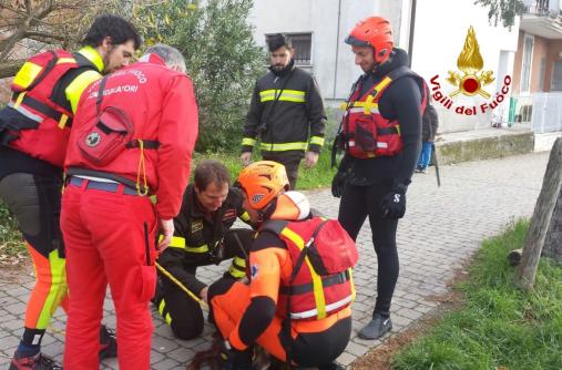 Genova, salvato un cane finito nel fiume Entella