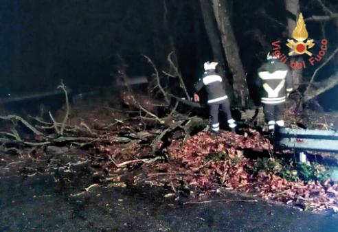 Catanzaro, numerosi interventi dei Vigili del fuoco a causa del maltempo