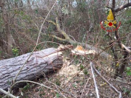 Macerata, soccorso a persona rimasta ferita nel comune di Camerino