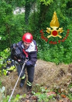Lecco, salvataggio di un cane in località Bonacina