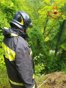 Lecco, salvataggio di un cane in località Bonacina