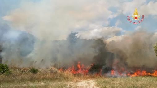 Catanzaro, incendio in una pineta di Sellia Marina