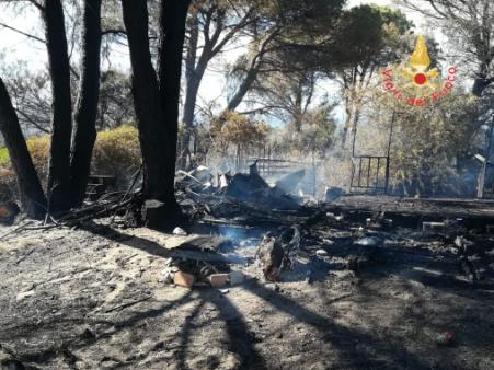 Catanzaro, incendio in una pineta di Sellia Marina