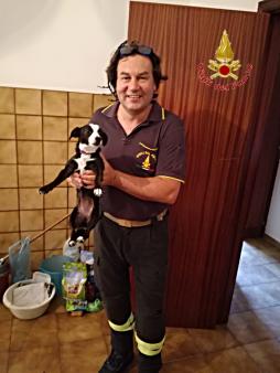 Messina, soccorso un cucciolo di cane a Gioiosa Marea