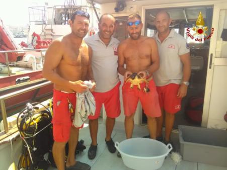Ancona, i sommozzatori dei Vigili del Fuoco portano in salvo tartaruga marina