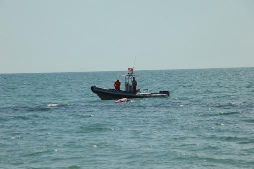Esercitazione in mare
