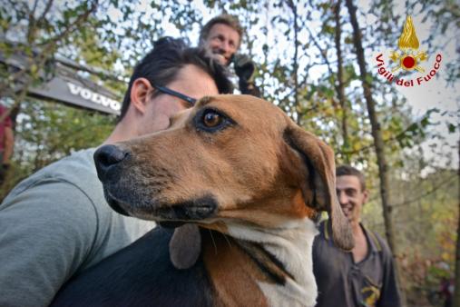 Torino, i Vigili del Fuoco portano in salvo un cane incastrato in un anfratto