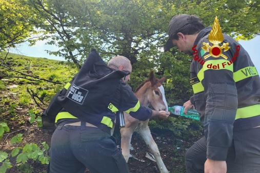 Perugia, Vigili del fuoco impegnati in diversi interventi