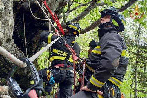Friuli Venezia Giulia, concluso il corso regionale SAF