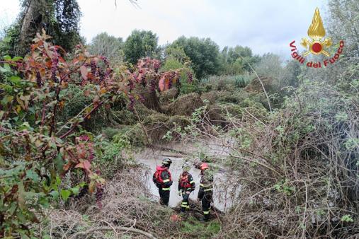 Verona, i Vigili del fuoco soccorrono un uomo nel fiume Adige