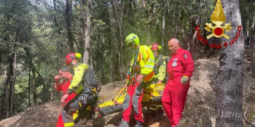 Immagine di galleria