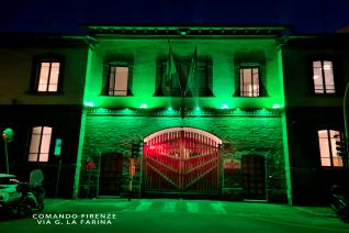 Illuminazione Verde Pandas