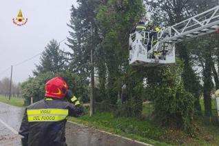 Vigili del fuoco alle prese con alberi pericolanti a causa del forte vento
