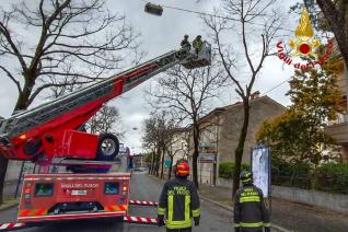 Vigli del fuoco rimuovono rami pericolanti per il maltempo