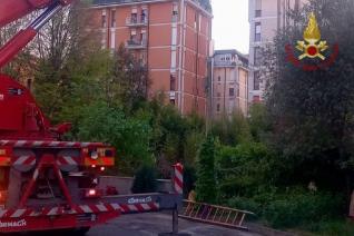 Albero crolla a Treviso