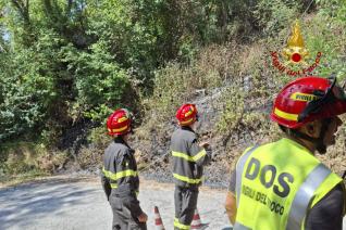 incendio vegetazione