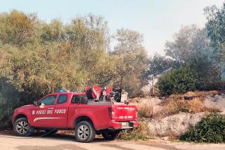 Emergenza incendi boschivi e di vegetazione