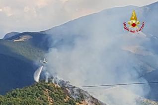 incendio vegetazione