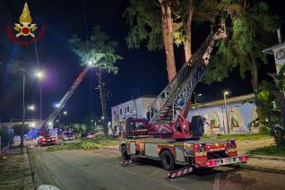 Vigili del fuoco al lavoro a Policoro per rimuovere rami pericolanti dopo il passaggio della tronba d'aria