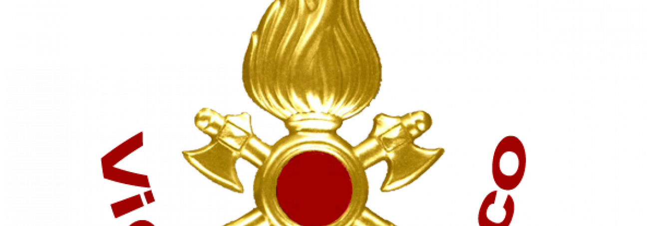 logo vvf