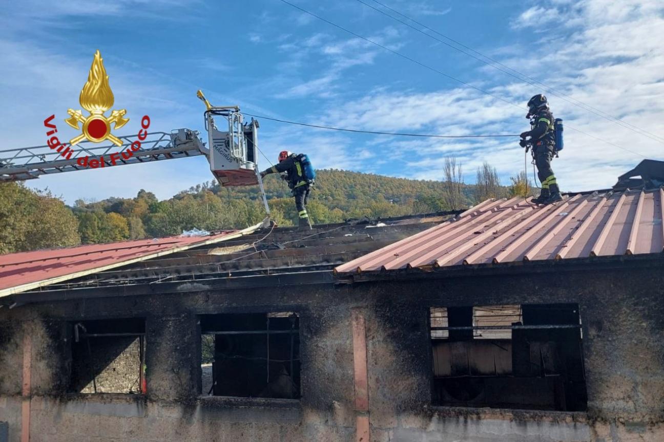 Incendio azienda allevamento volatili